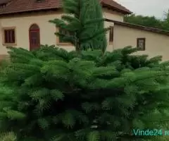 Casa zona Titesti judet Argeș