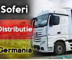 Șoferi profesioniști și amatori Germania