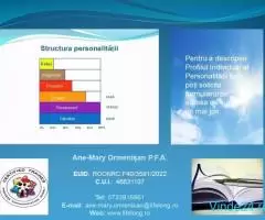 Realizarea Profilului Individual al Personalității (PPI) - sub licență PCM® -