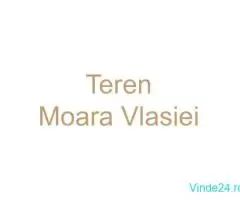 Teren Moara Vlasiei 1500mp