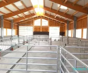 Proiectare și construcție grajduri / adăposturi ferme animale