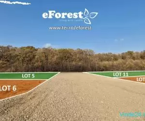 eForest, loturi de teren la padure, Tartasesti