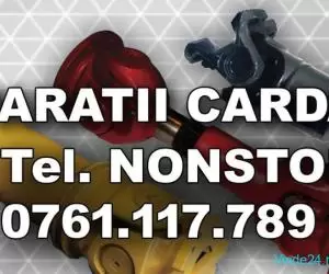 Reparatie Cardan RENAULT